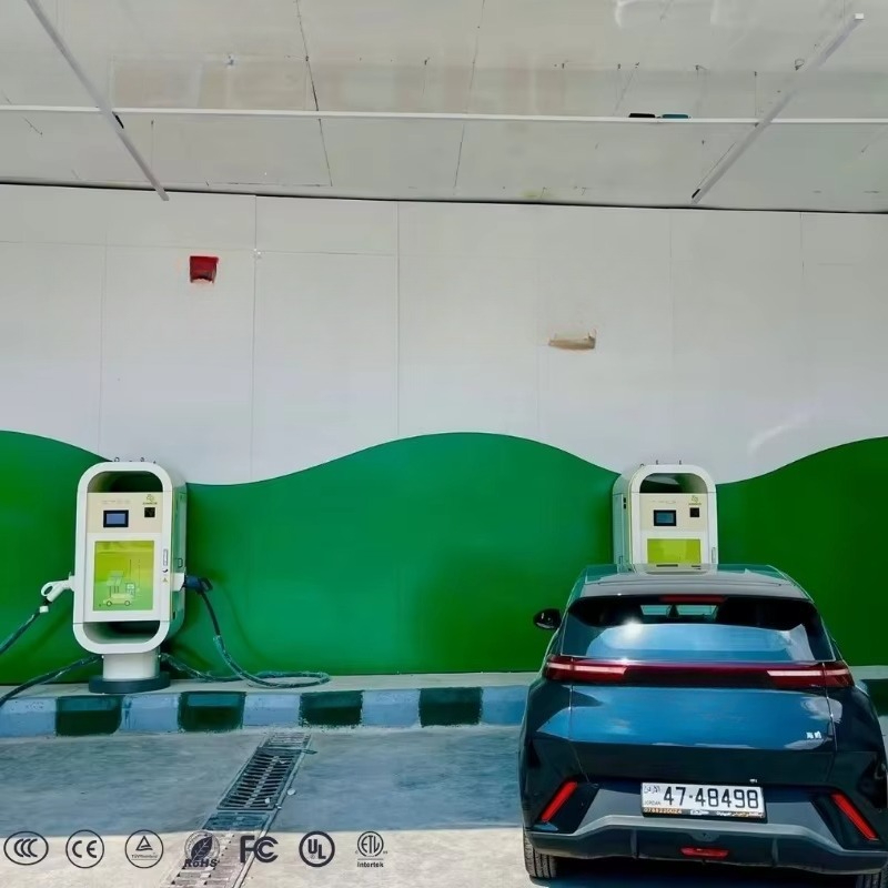 Standardowa stacja szybkiego ł – Ev Charging Pile recenzja i cena